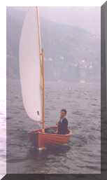 icojuju.jpg (4342 byte)