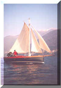 icozeusA.jpg (13959 byte)